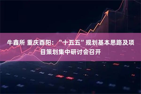 牛鑫所 重庆酉阳：“十五五”规划基本思路及项目策划集中研讨会召开