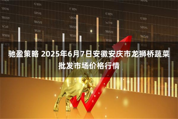 驰盈策略 2025年6月7日安徽安庆市龙狮桥蔬菜批发市场价格行情