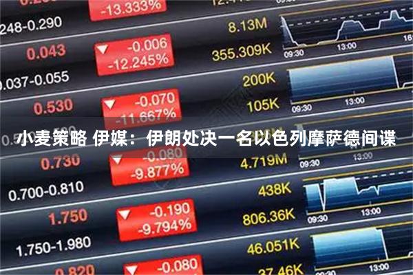 小麦策略 伊媒：伊朗处决一名以色列摩萨德间谍