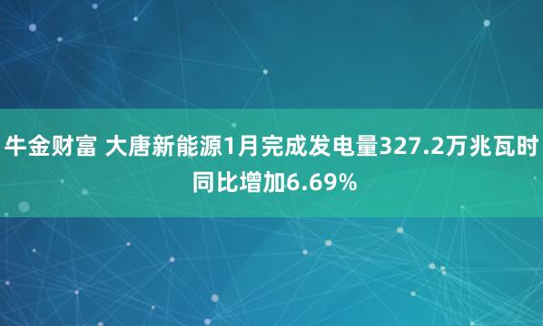 牛金财富 大唐新能源1月完成发电量327.2万兆瓦时 同比增加6.69%