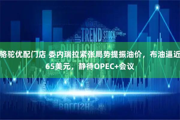 骆驼优配门店 委内瑞拉紧张局势提振油价，布油逼近65美元，静待OPEC+会议